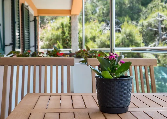 Апартаменты Magnolia *