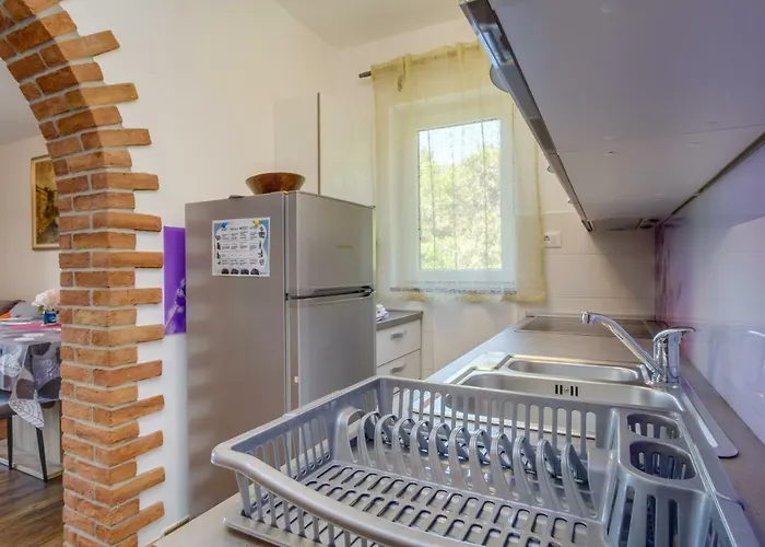 Magnolia Мали-Лошинь