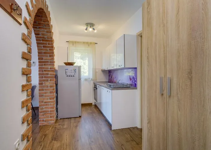 Magnolia * Мали-Лошинь