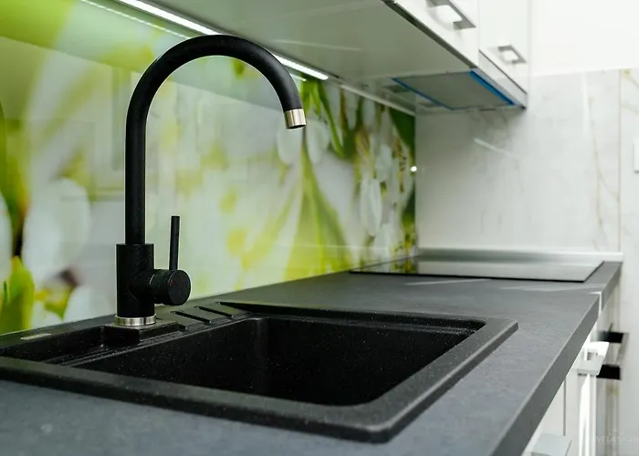 Magnolia アパート マリ・ロシニュ